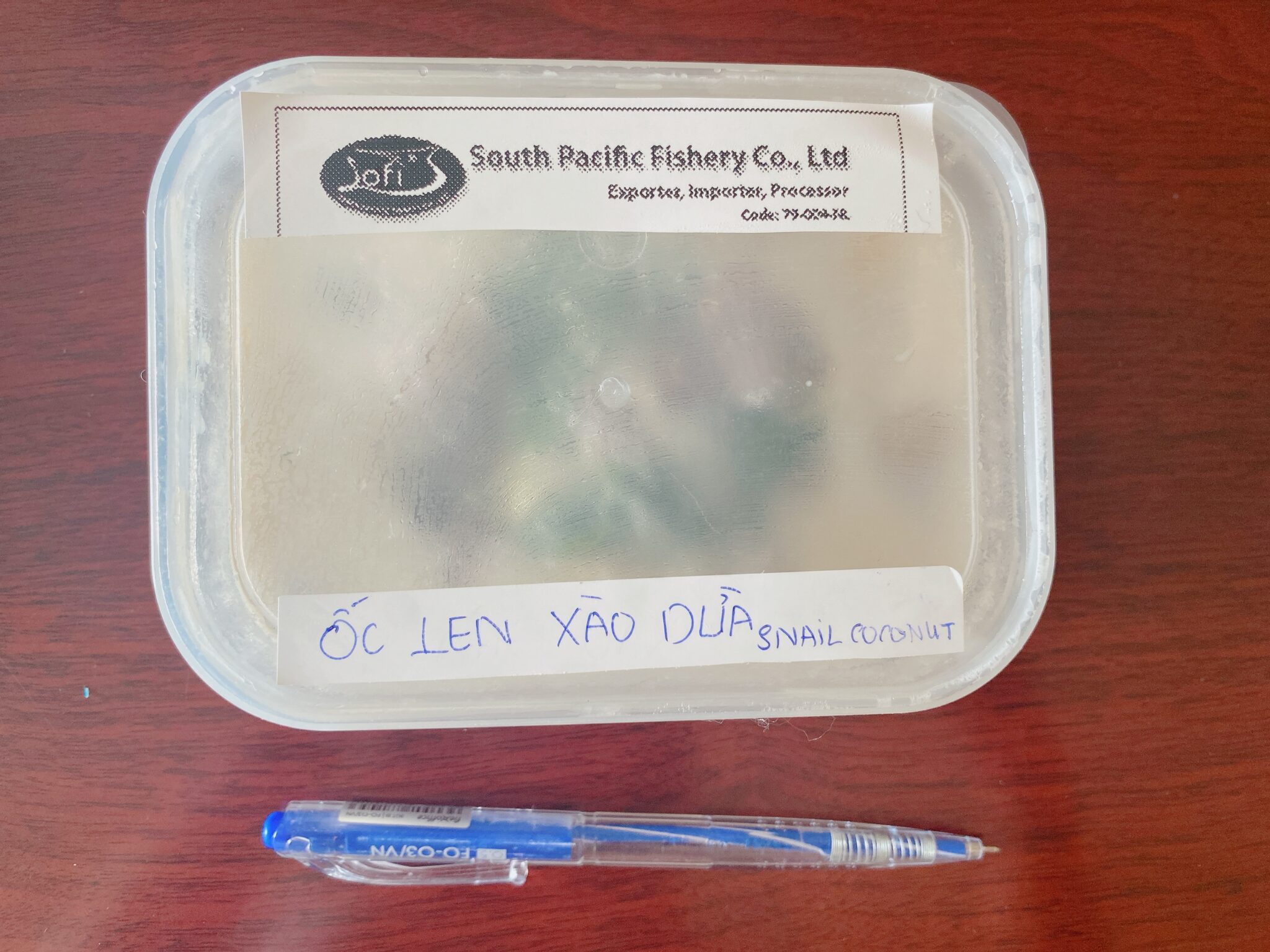 FROZEN COOK SNAILS (CERITHIDEA OBTUSA) WITH COCONUT CREAM South