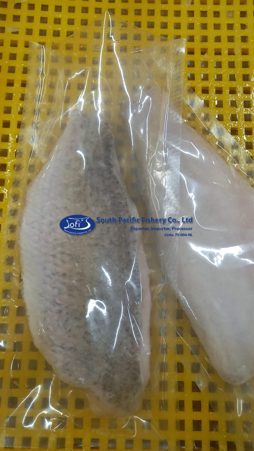 FROZEN BARRAMUNDI FILLET (Lates calcarifer) South Pacific Fishery Co., Ltd