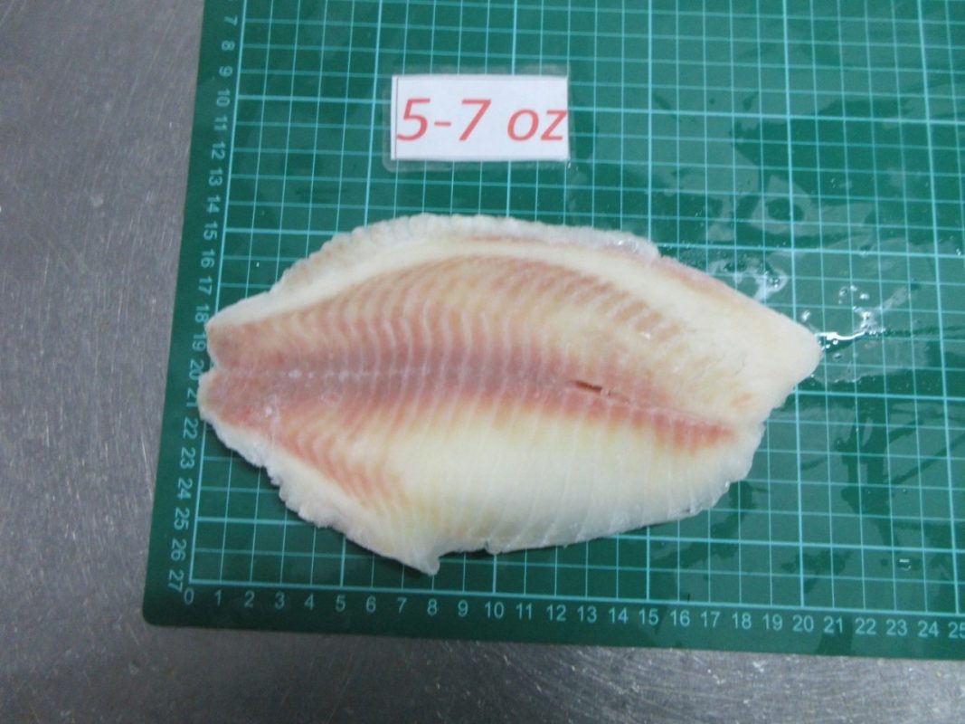 Frozen Black Tilapia Fillet South Pacific Fishery Co., Ltd